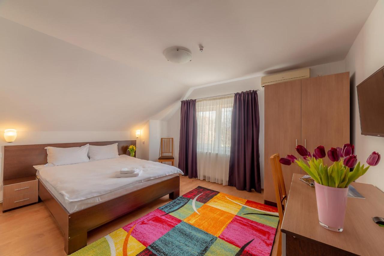 Pension Cluj Luaran gambar