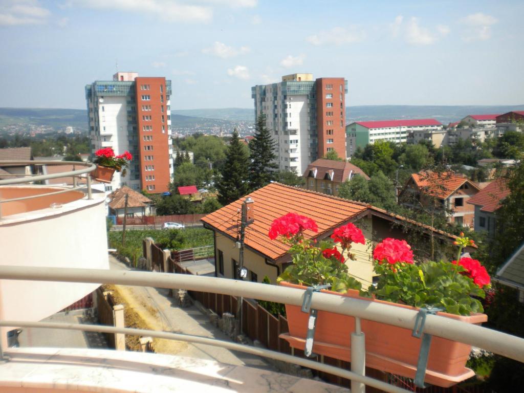 Pension Cluj Luaran gambar