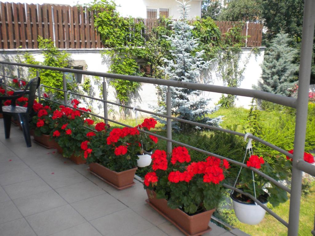 Pension Cluj Luaran gambar