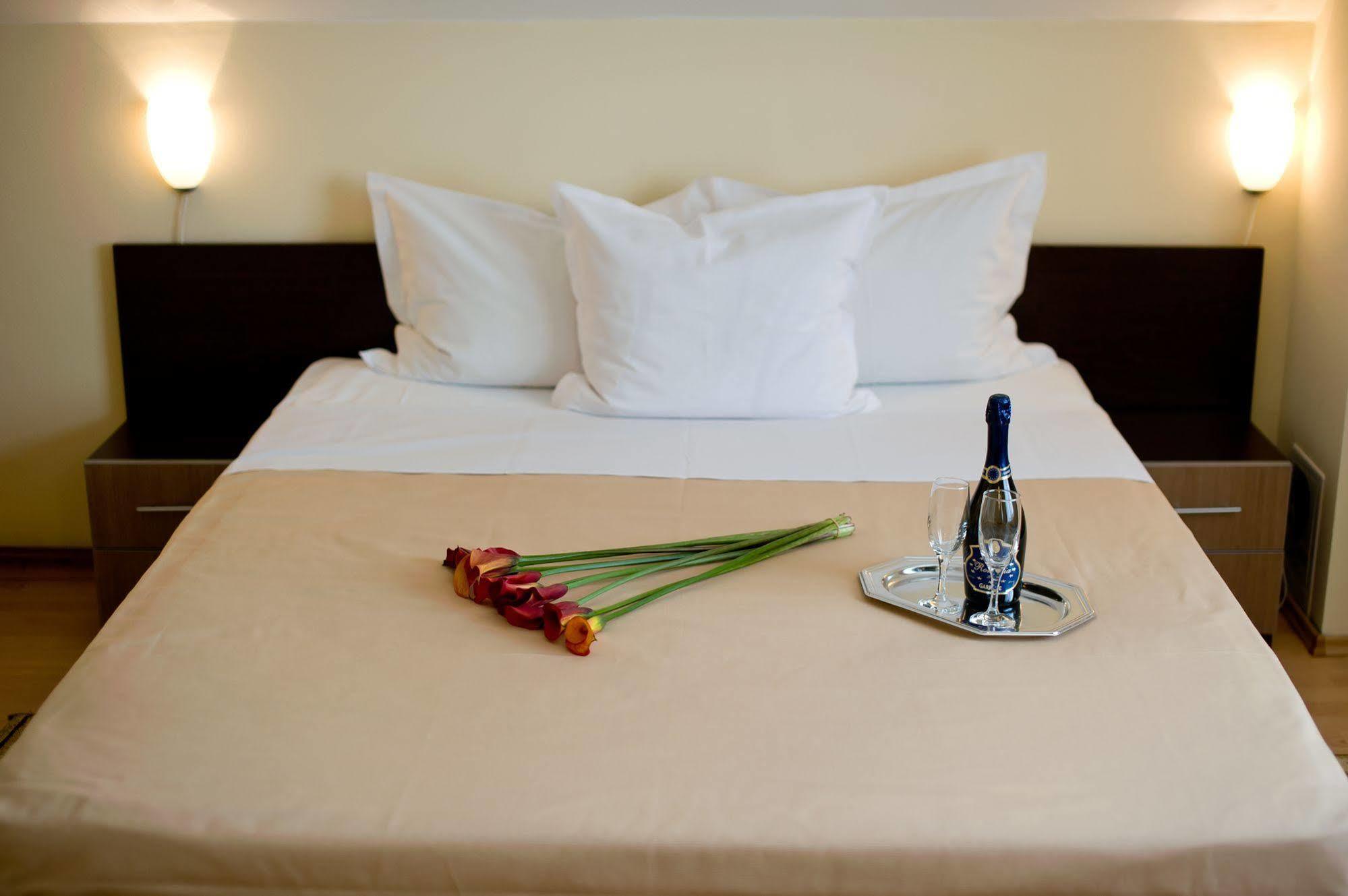 Pension Cluj Luaran gambar