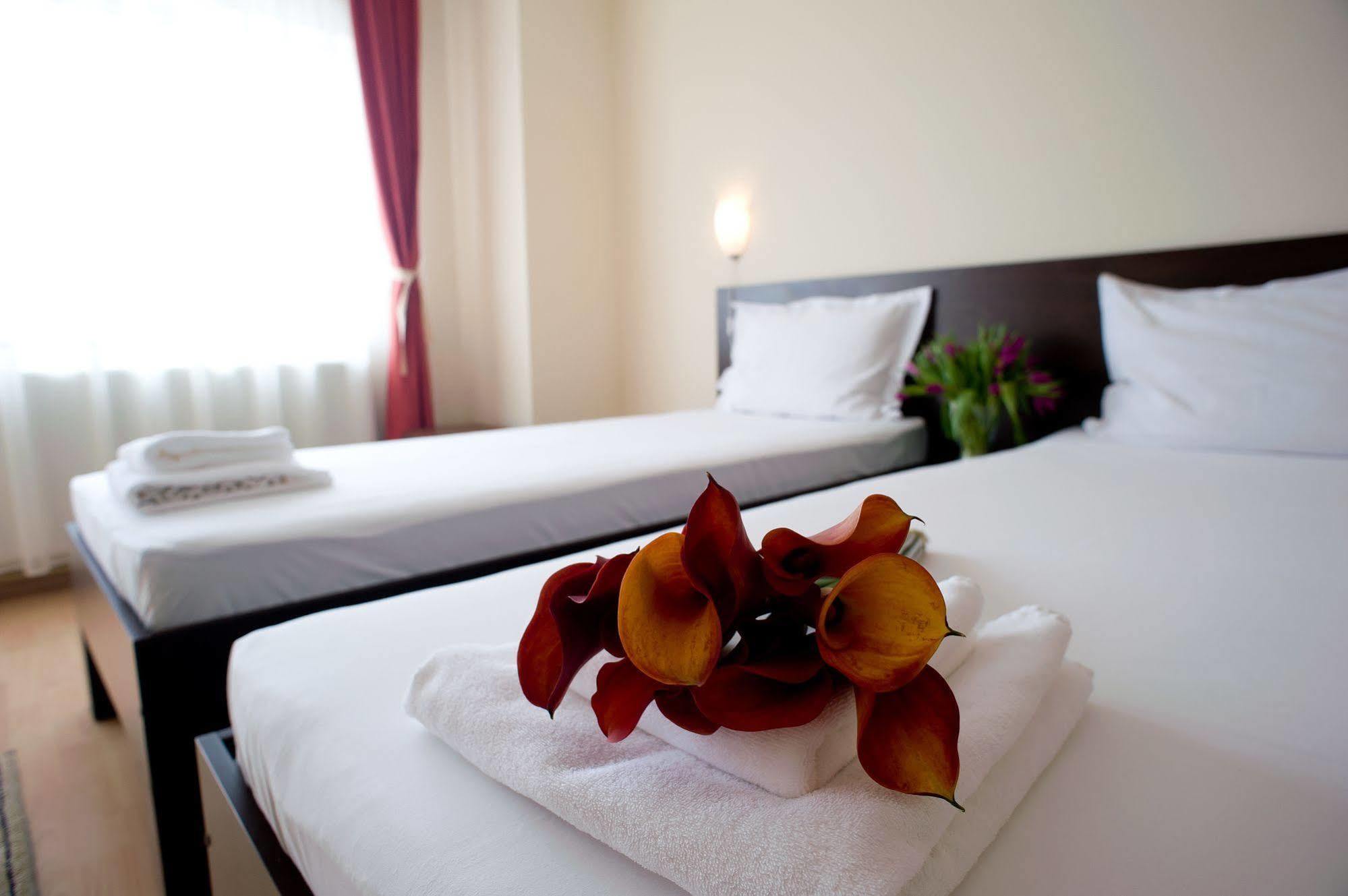 Pension Cluj Luaran gambar